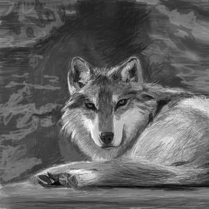 Tony Cruise - The Villains