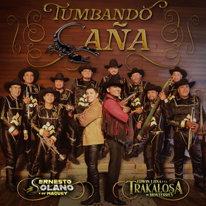 Tumbando Caña (El Alacrán)