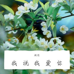 我说 (翻自 黄义达)