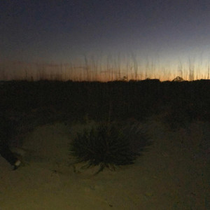 WHYSEVERYTHINGFEELWEIRD (Explicit)