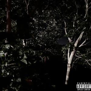 Brother (feat. Montanna3rd)