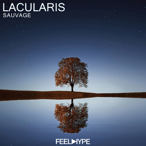 Sauvage (Original Mix)