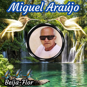 Beija-Flor