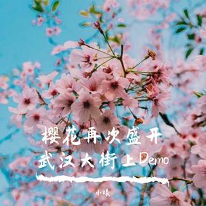 樱花盛开在武汉大街上Demo