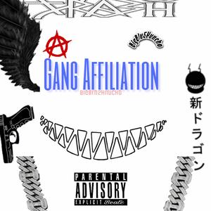 Gang Affiliation (Explicit)