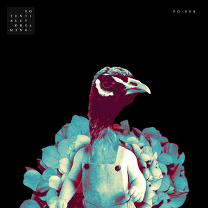 Nebula (Extended Mix)