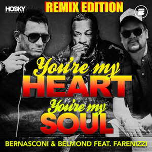 You're My Heart, You're My Soul (Bassloop Extended Remix)