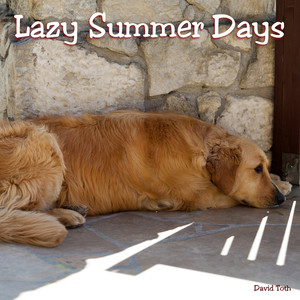 Lazy Summer Days