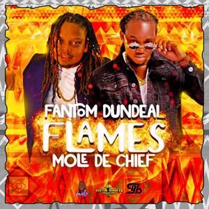 FLAMES (feat. Mole De Chief)