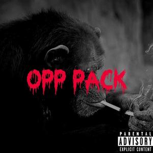 New Opp Pack (feat. Band3xbaby & DJB Da ROC) (Explicit)