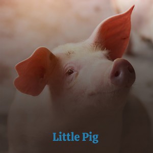 Little Alice