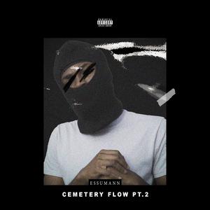 Cemetery Flow 2 (Explicit)
