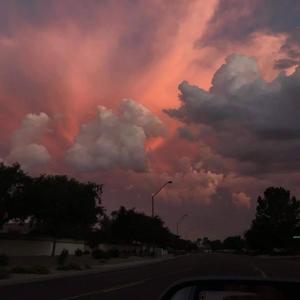 what for? (feat. halfhearted)