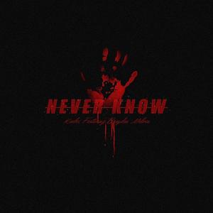 Never Know (feat. Brayden Melvin)