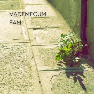 Vademecum 2017(feat. No Value) (Explicit)