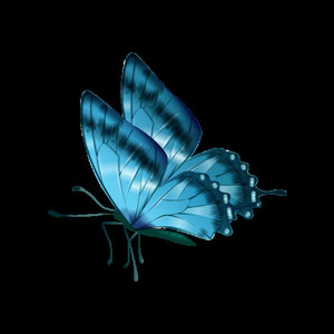 可恋不可说 (Single Version)