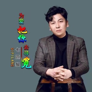 为爱把你去寻觅