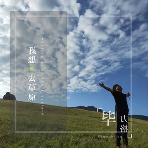 我想去草原 (伴奏)