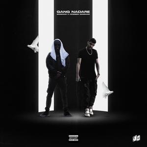 GANG NADARE (feat. HOSSEIN FILO) (Explicit)