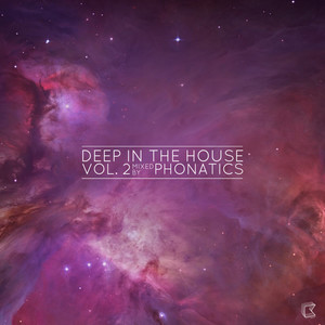 Deep in the House, Vol. 2 - Continuous DJ Mix (Mixed by Phonatics)