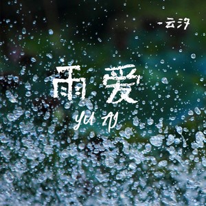 雨爱 (伴奏)封面