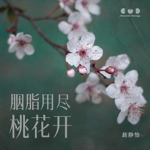 胭脂用尽桃花开 (伴奏)