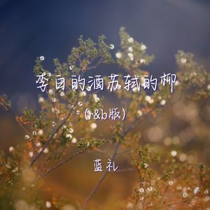 李白的酒苏轼的柳 (r&b版)封面