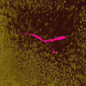 Moyo (feat. Andreas Theobald) (re·imagined)