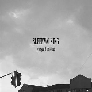 Sleepwalking