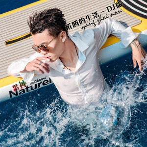 折腾的生活 (DJ版)