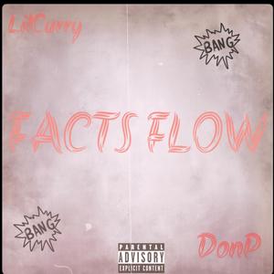 Facts Flow (feat. DonP) [Explicit]