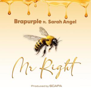 Mr Right (feat. Sarah Angel)