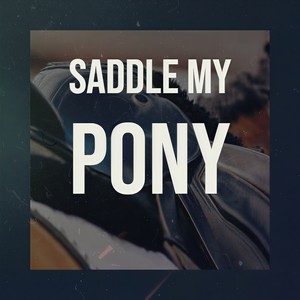 Saddle My Pony