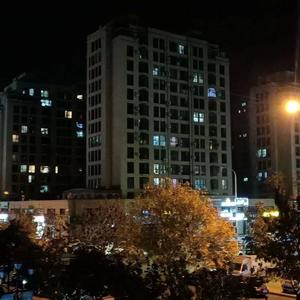 影子习惯 - 磕灰封面