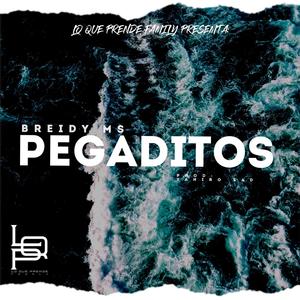 PEGADITOS