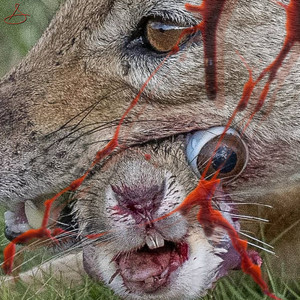 EVER SINCE (Explicit)