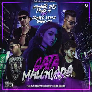 Gata Malcriada(feat. Diamante Okey, PrynsHT, D'Lyon El Salvaje & Danny Edu) (Remix|Explicit)