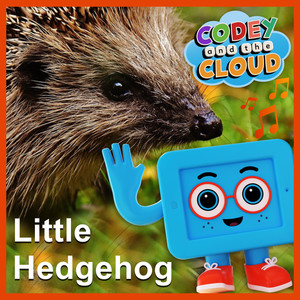 Little Hedgehog