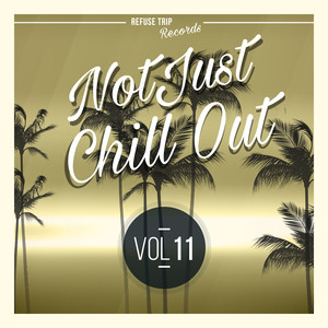 Not Just Chill Out Vol. 3