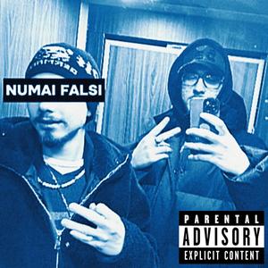 NUMAI FALSI (Explicit)