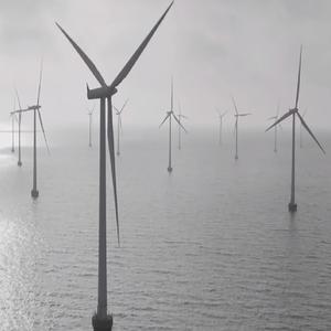 peace in solace (feat. liko)