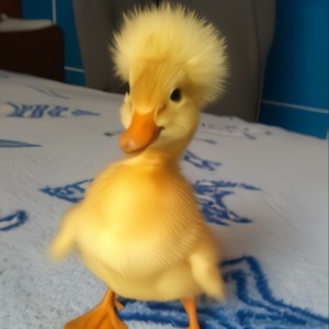 DOWN BAD(feat. Yung Keeta) (Explicit)