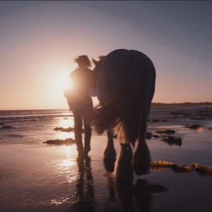 My Love's an Ocean for You