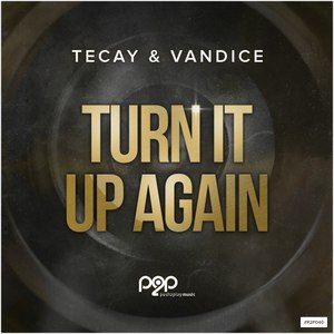 Turn It up Again (Natural Mind Remix)