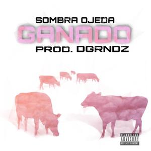 Ganado(feat. DGRNDZ) (Explicit)