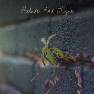 When Cat's Away the Mice Will Play