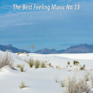 The Best Feeling Music No.13