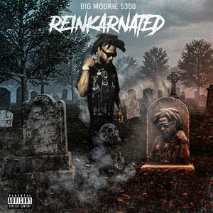 Reinkarnated (Explicit)