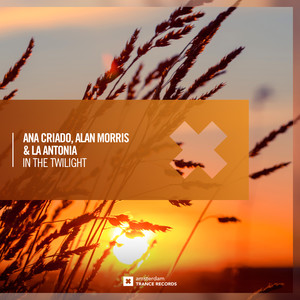 In The Twilight (Extended Mix)