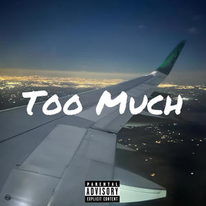 Too Much (Explicit)